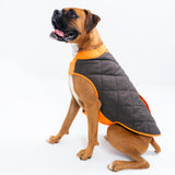 Dog's Highland Dog Vest