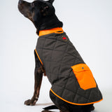Dog's Highland Dog Vest