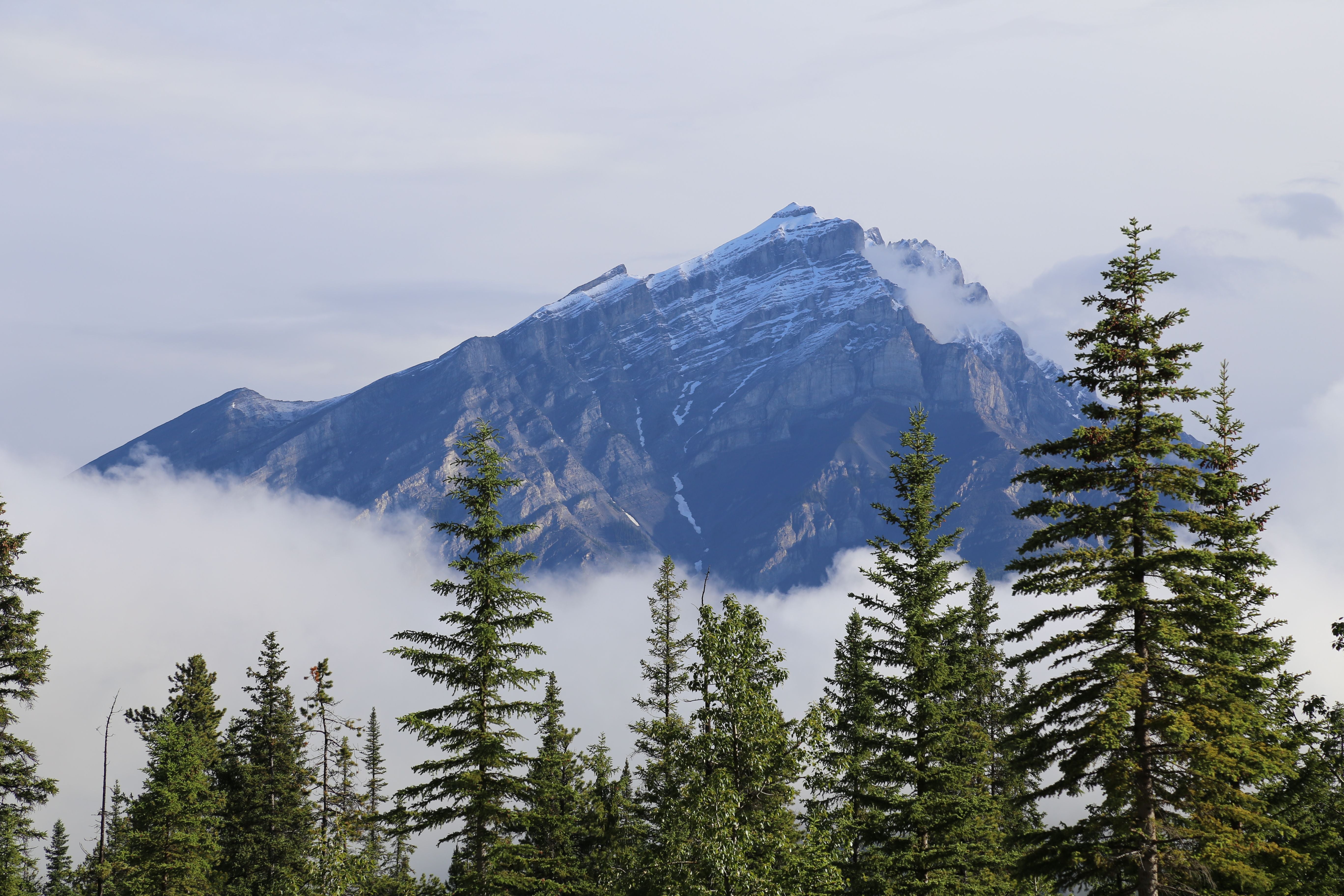 Built With Purpose: Our Commitment to Sustainability