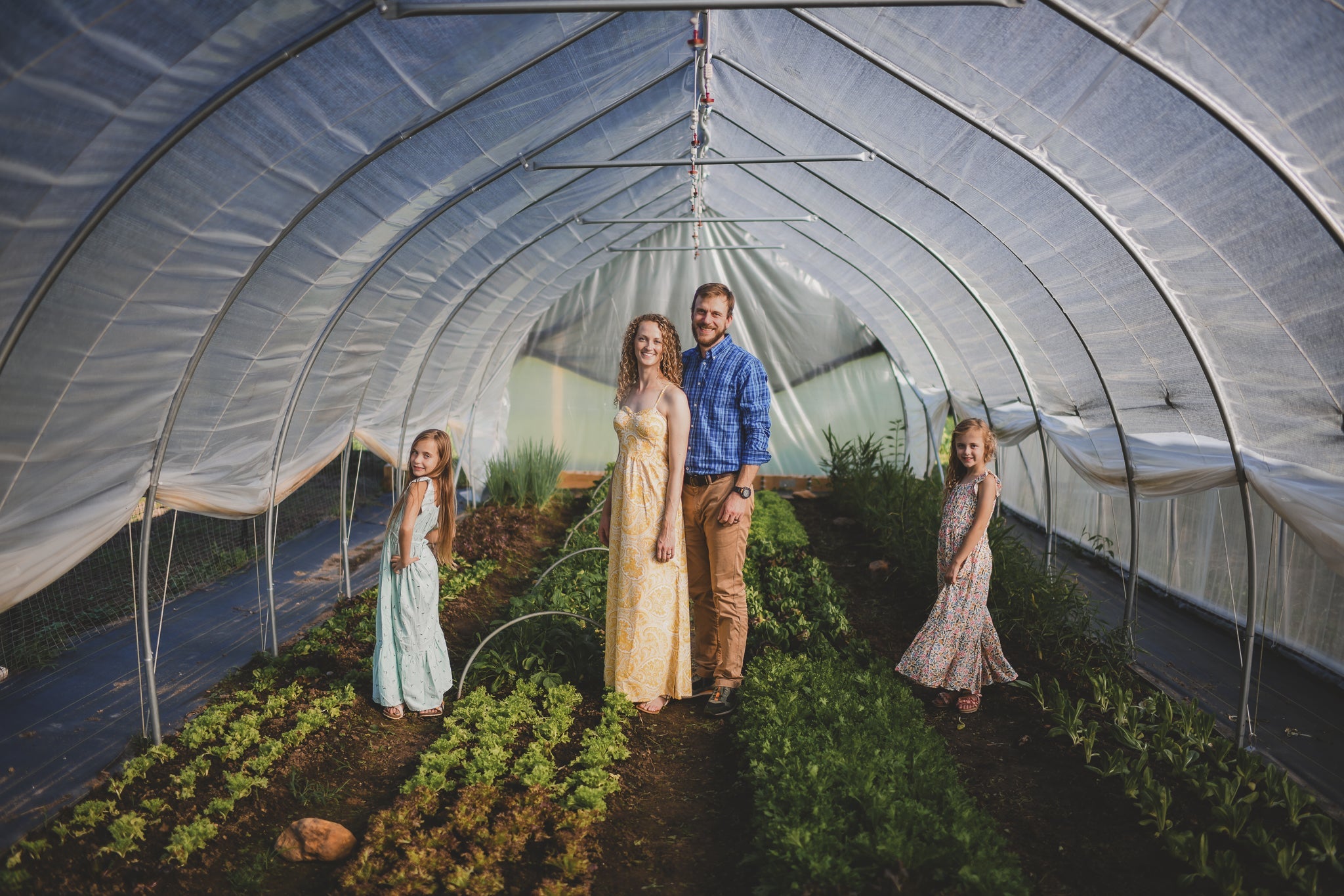 Andy Borak: Red Fern Farm