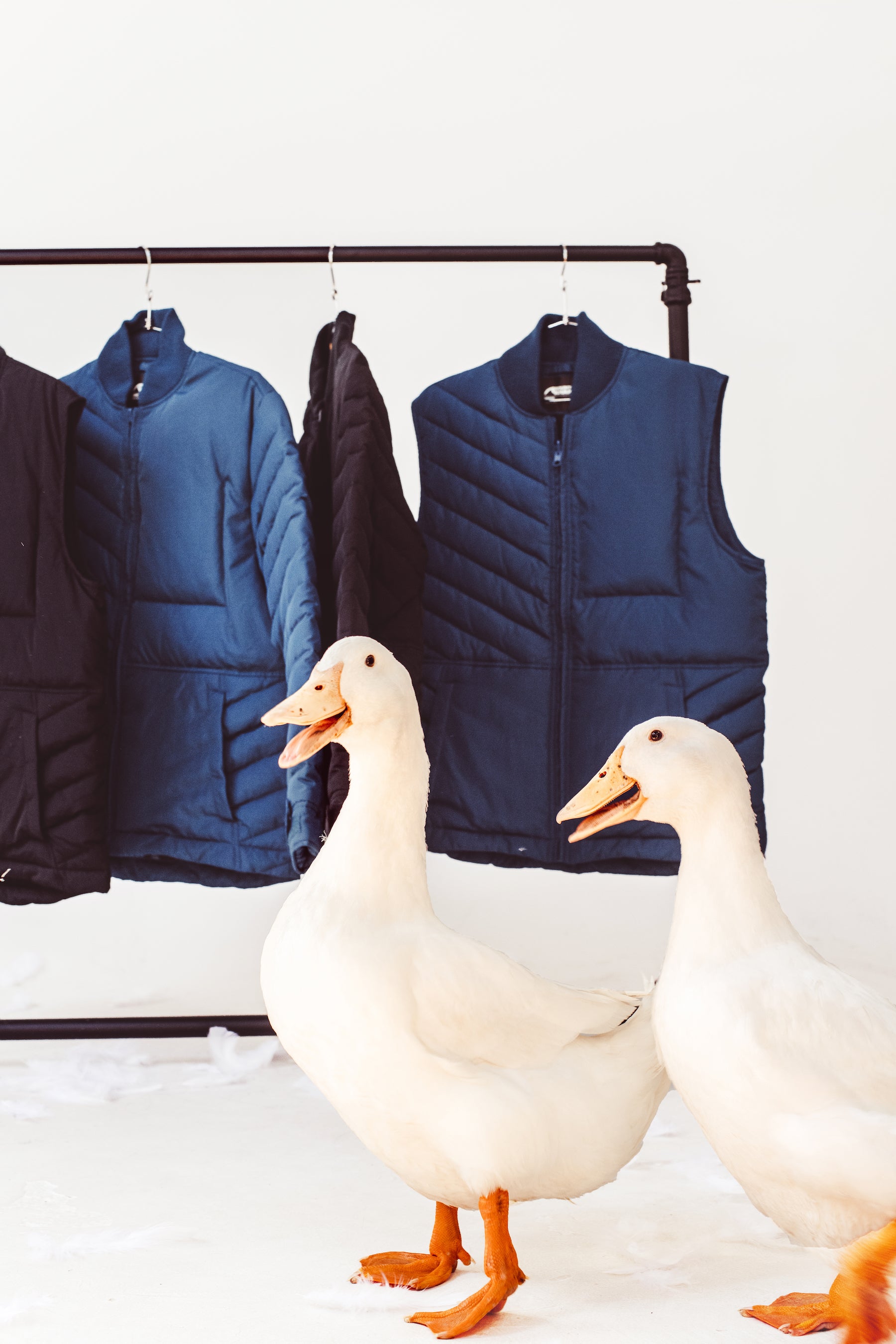 Pinnacle Peak Collection: Sure Down