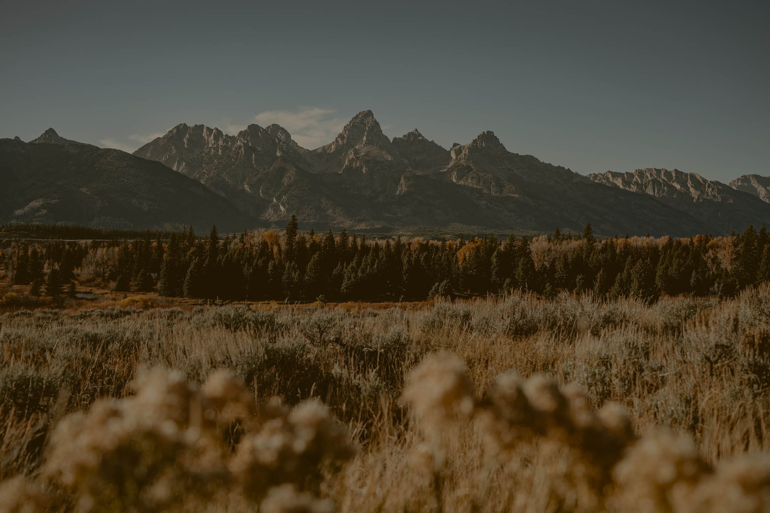 Men's Pants: Khakis, Chinos, Jeans & More | Mountain Khakis