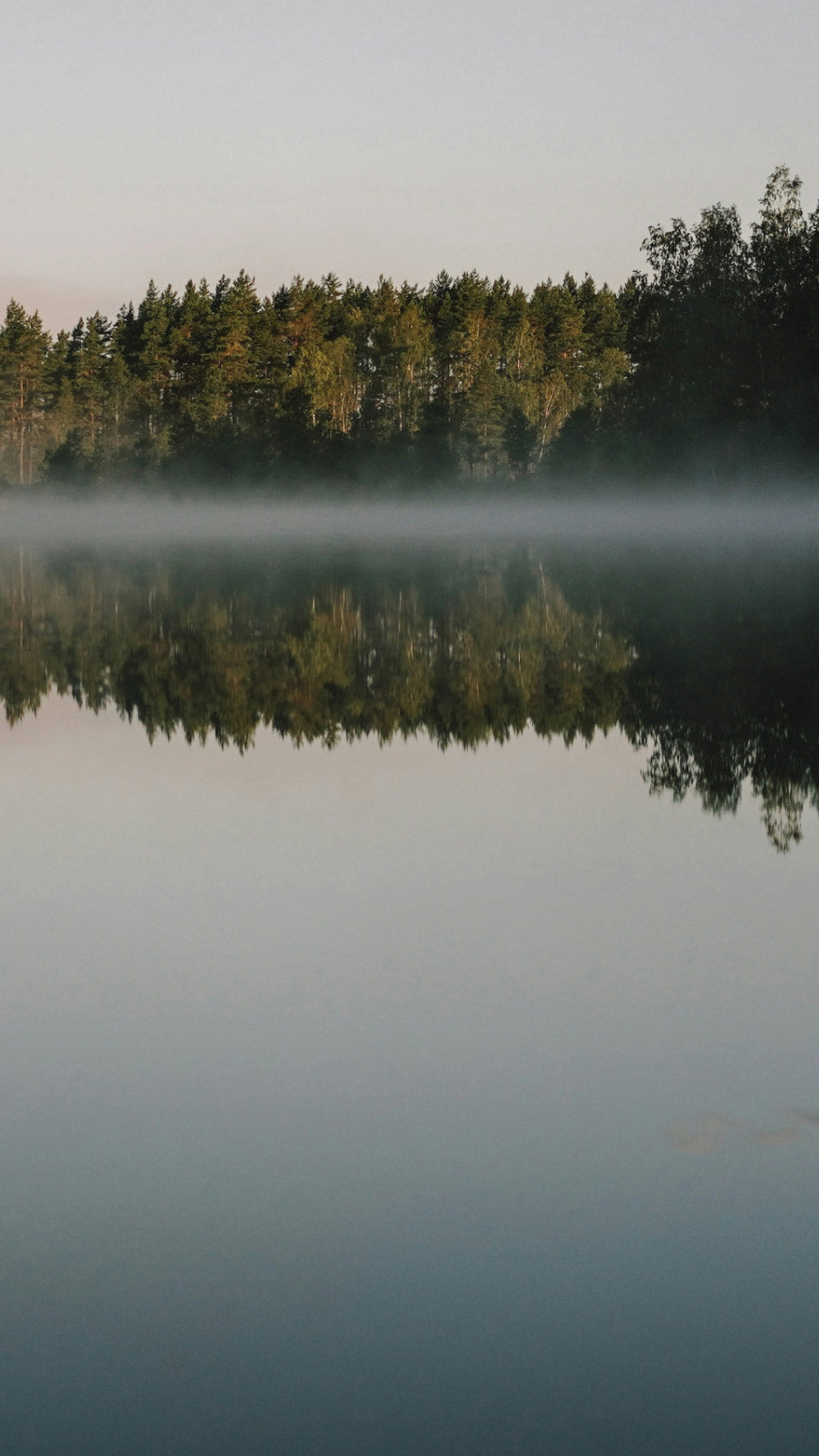 A reflection of trees over a lake with fog