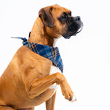 Dog's Boone Bandana