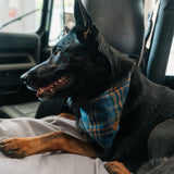 Dog's Boone Bandana