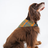 Dog's Boone Bandana