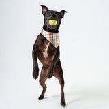 Dog's Boone Bandana
