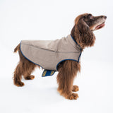 Dog's Camber Original Dog Vest
