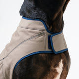 Dog's Camber Original Dog Vest
