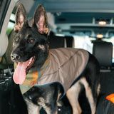 Dog's Camber Original Dog Vest