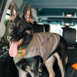 Dog's Camber Original Dog Vest