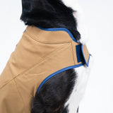 Dog's Camber Original Dog Vest