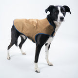 Dog's Camber Original Dog Vest