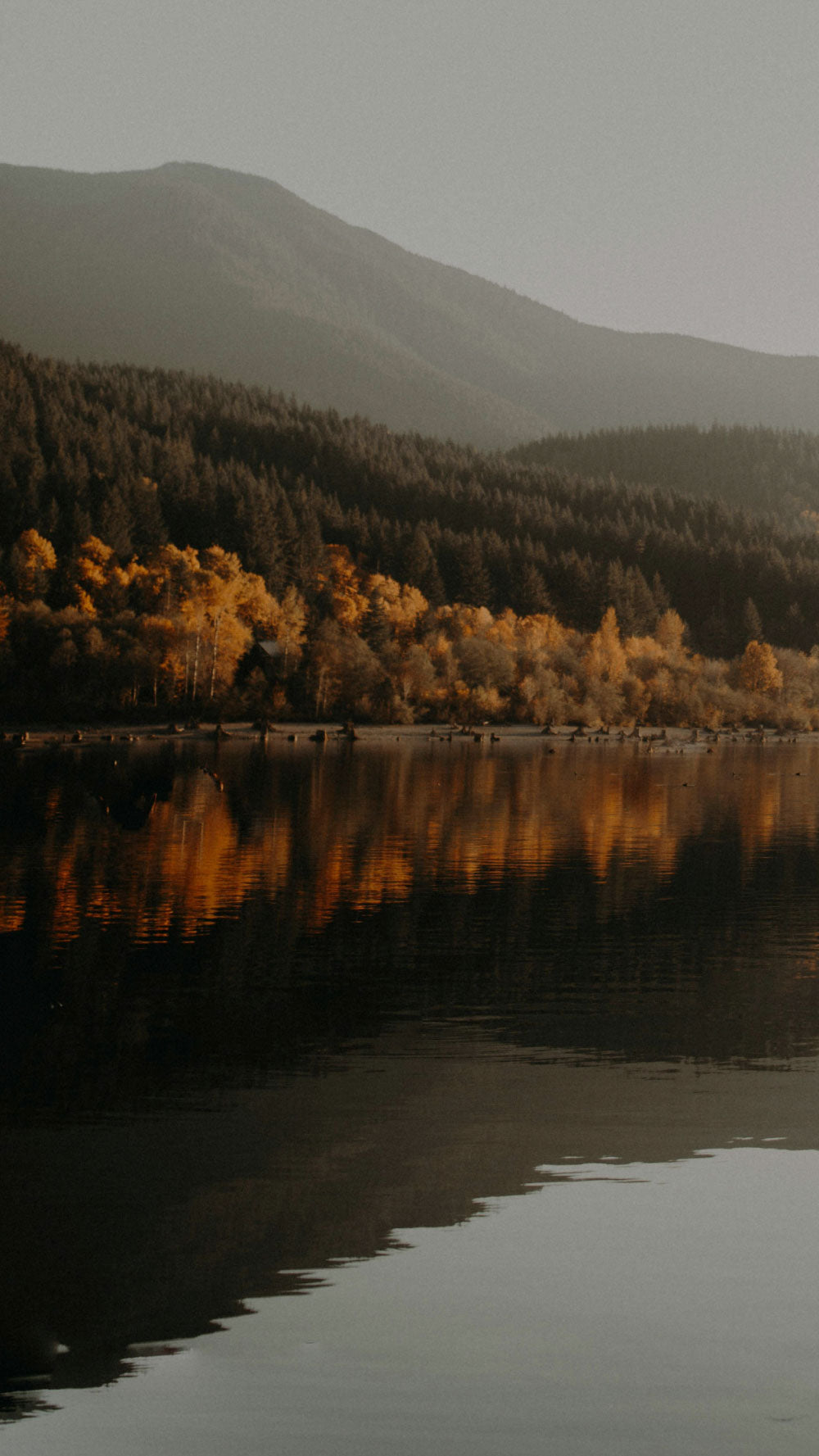 A scenic landscape photograph of a mountain range with autumn-colored trees reflected in a calm lake.