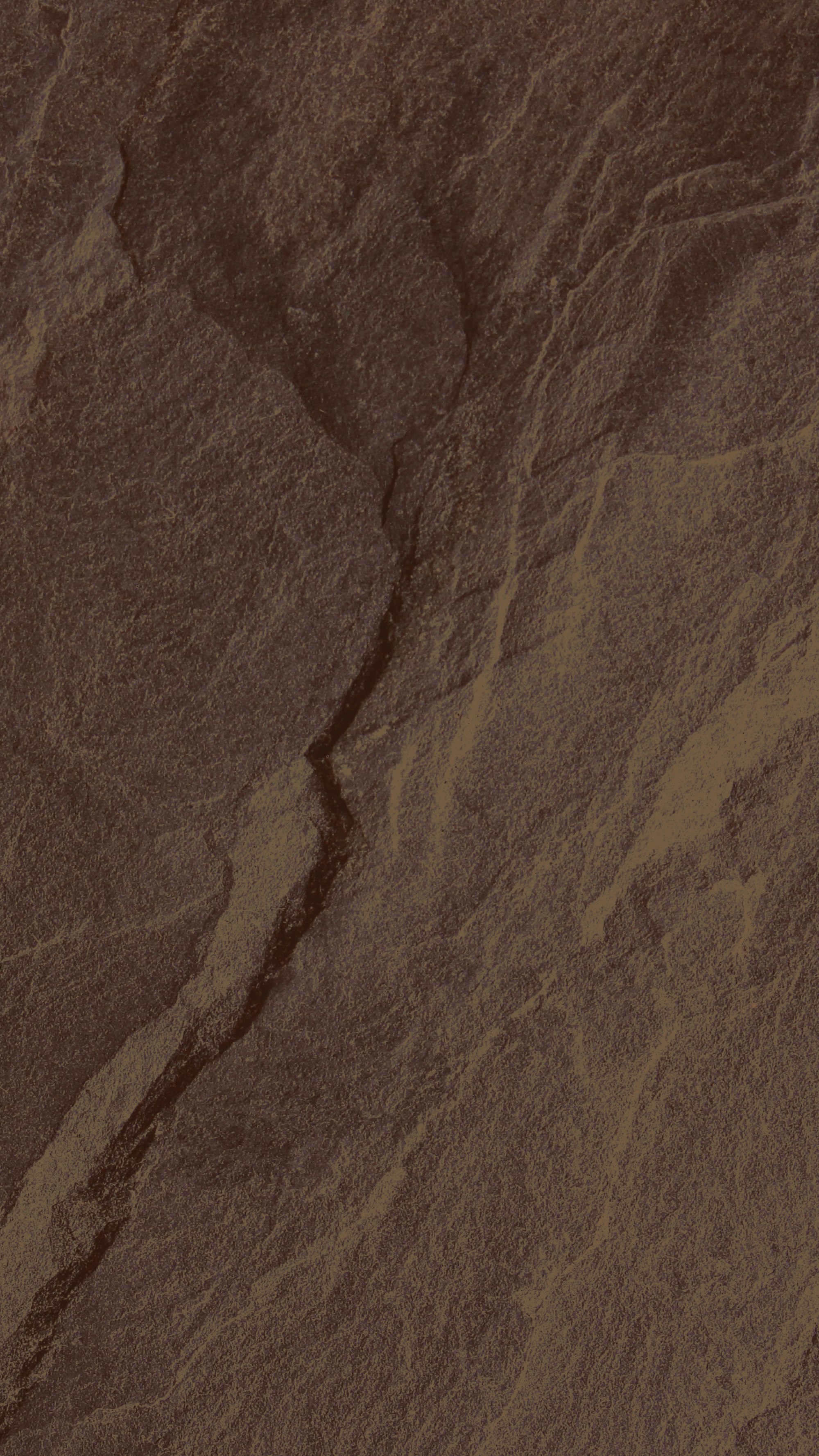 Black Friday: 50% Off Sitewide