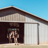 Waylon Cord Chore Shirt