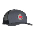 Unisex Bison Patch Trucker Hat